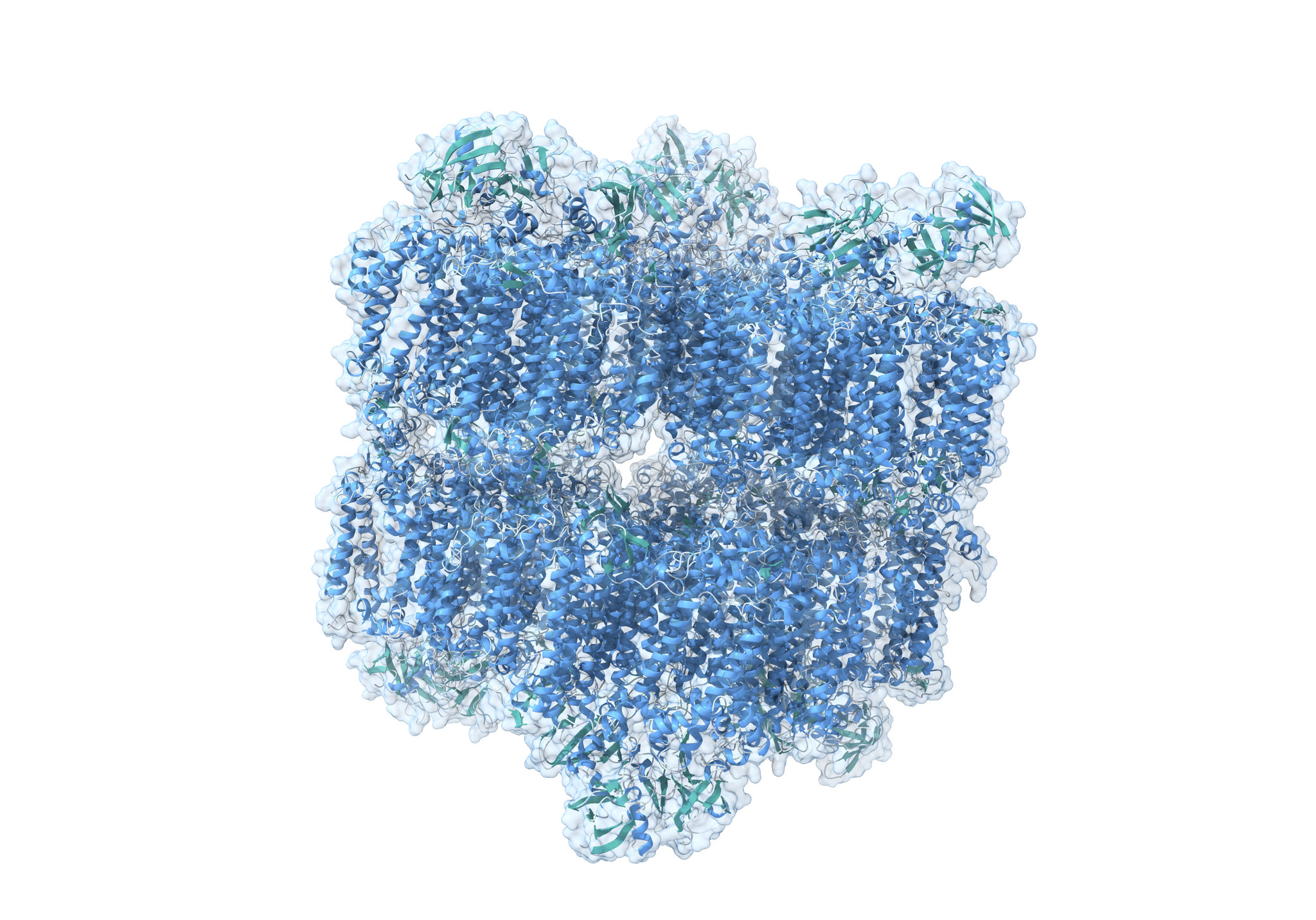 image from AI for Proteins: 工具那么多，我究竟该用哪个？蓝极的完整清单
