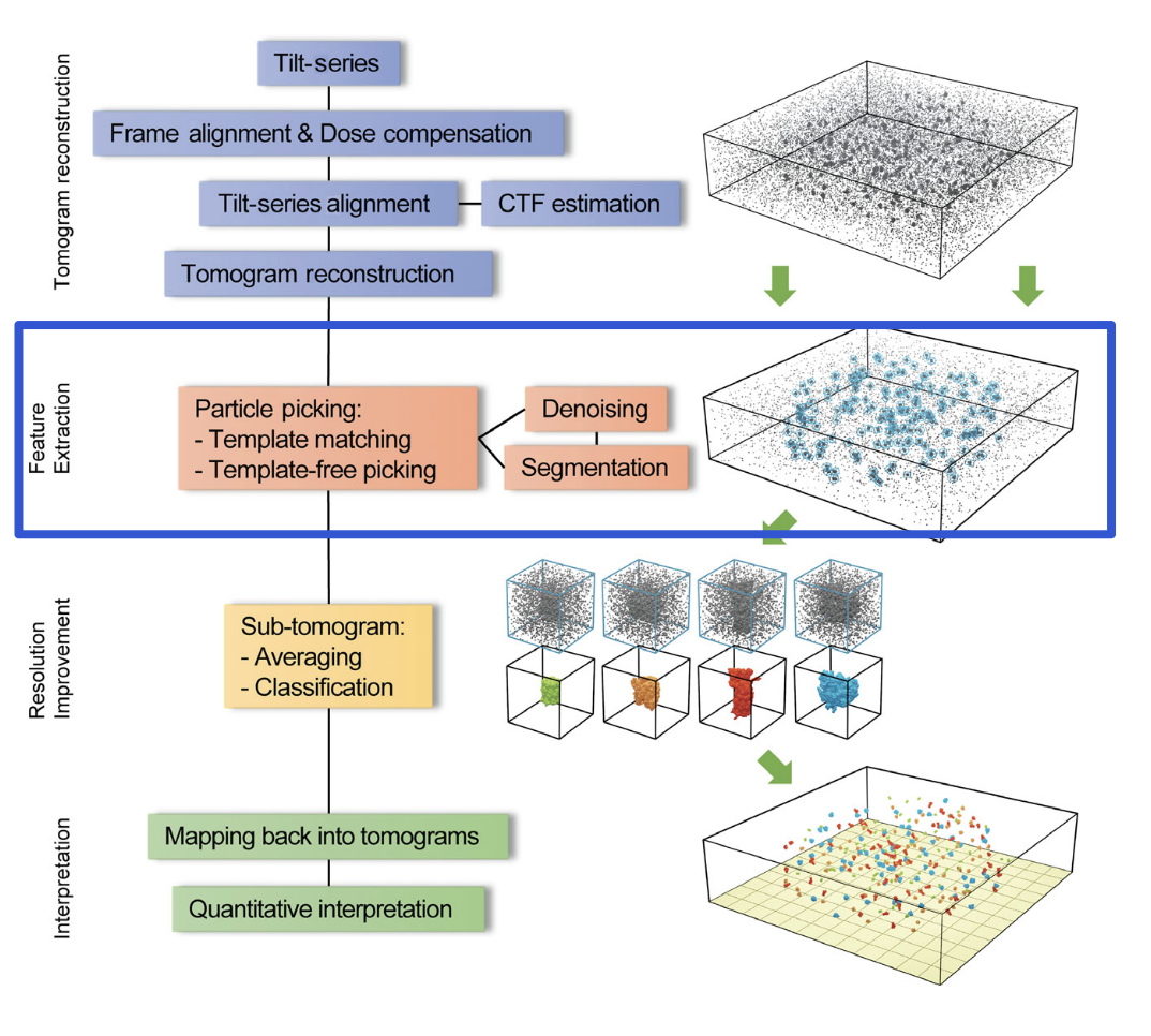 Tomogram reconstruction workflow
