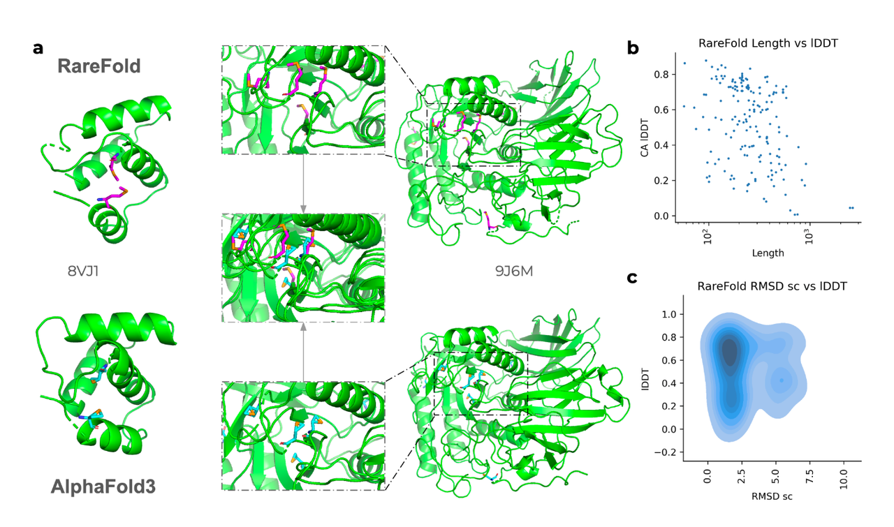 Limitations of AlphaFold3 and RareFold in Predicting Modified Amino Acids